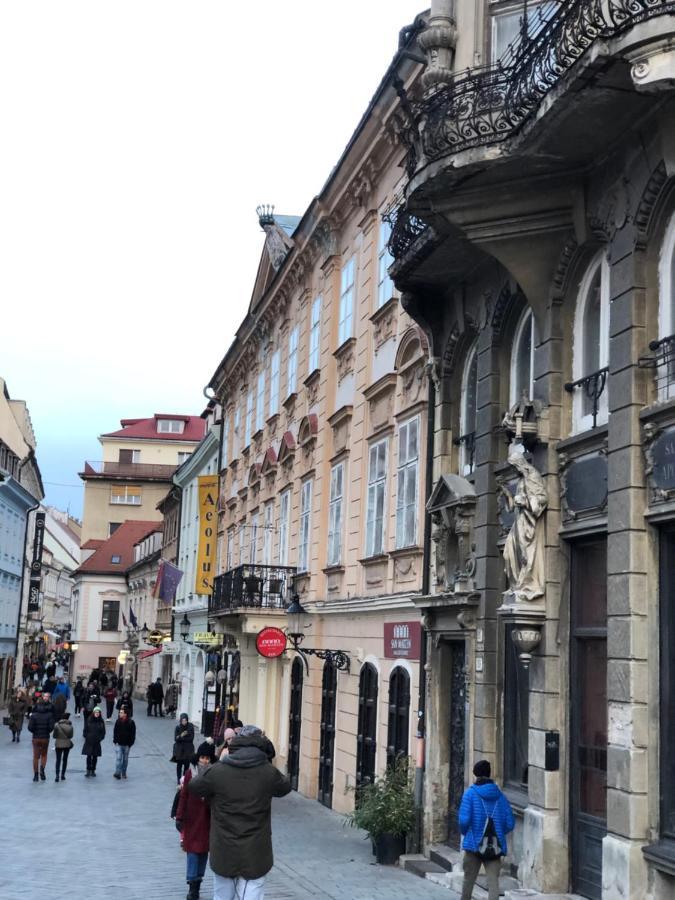 Pleasant Apartment Under The Bratislava Castle Екстер'єр фото