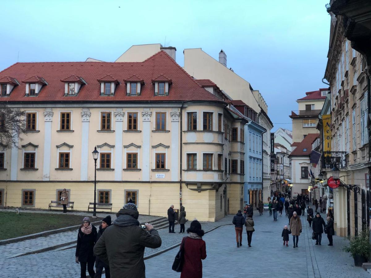 Pleasant Apartment Under The Bratislava Castle Екстер'єр фото