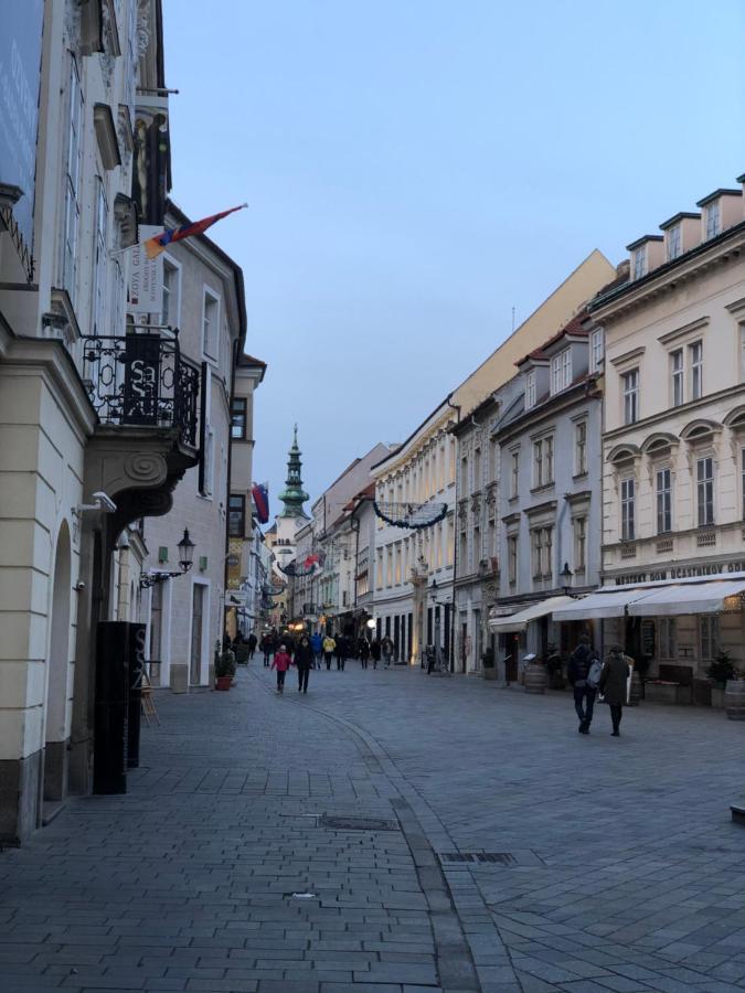 Pleasant Apartment Under The Bratislava Castle Екстер'єр фото